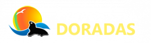 - Advertisement -